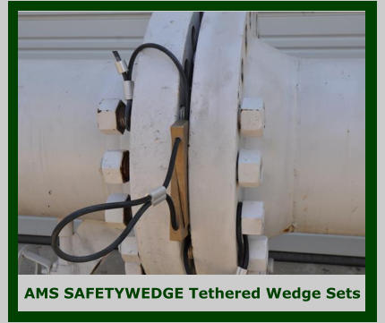 AMS SAFETYWEDGE Tethered Wedge Sets